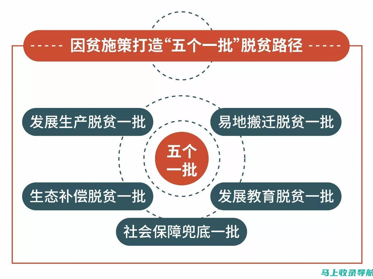 精准掌握数据统计精髓，探究统计站站长职责内涵